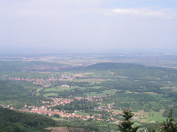 Frankreichs schönster Garten - so nannte Ludwig XIV. das Elsass, als er zum ersten Mal die Vogesen überschritten hatte. Bild: Blick vom Mont Ste. Odile in die Rheinebene.