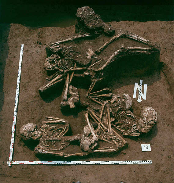 Mehrfachbestattung der Michelsberer Kultur, Heidelberg