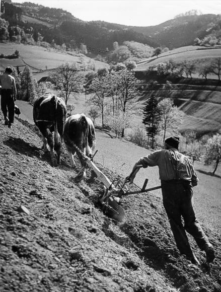 Pfl&uuml;gender Bauer. &copy; Badisches Landesmuseum / Foto: Alwin T&ouml;lle