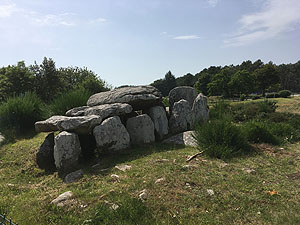 Dolmen an den Alignements de Kermario
