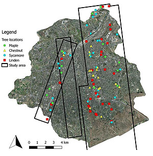 Karte des Untersuchungsgebiets in der Brüsseler Hauptstadtregion (schwarze Rahmen), mit den Standorten der Bäume mit denen die Fernerkundungsdaten überprüft wurden