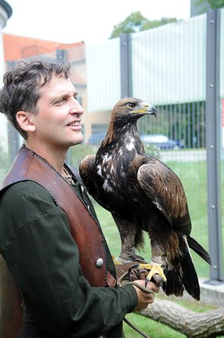 Am Ostermontag gibt es im Alamannenmuseum wieder einen Familientag mit dem Falkner Volker Roth, erstmals werden die Besucher an diesem Tag bewirtet (Foto: Museum)