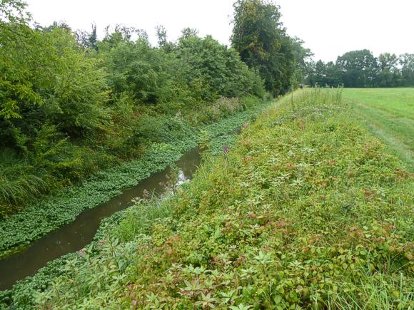 Der Riedkanal vor der Instandsetzung. Foto: RP Karlsruhe