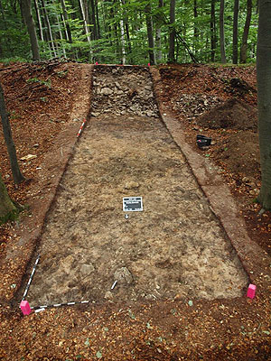 Dokumentationsbild des Grabungsschnittes 1 auf dem Mittelberg, im Hintergrund die bereits angegrabene Mauer. Foto: LfD