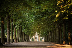 Schlossgarten Bruchsal, Kastanienallee
