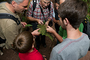 Die Gästeführer im Naturpark Südschwarzwald sind „Botschafter der Region“ und bieten ihren Gästen besondere Einblicke in die Natur und Kultur des Schwarzwalds. Foto (© Peter Mesenholl)
