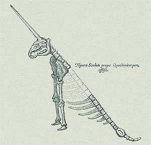 Rekonstruktion des Quedlinburger Einhorns, aus Leibniz Protogaea von 1749. 