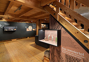 Römermuseum im Ochzet-Haus, Altheim. Foto: Römermuseum Altheim/Fotografie Mitterbauer Altheim