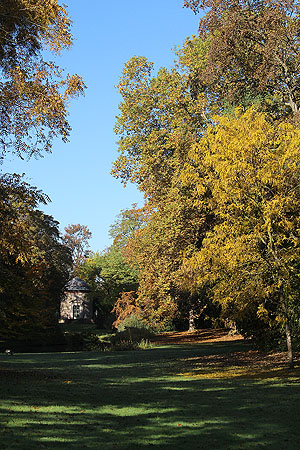 Wiesentälchen und Tempel der Waldbotanik