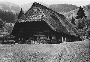 Streifzug in die Vergangenheit: Prof. Dr. Peter Schneider erläutert am 3. Oktober anhand der Baustruktur die Vergangenheit des Vogtsbauernhofs. Foto: Archiv des Schwarzwälder Freilichtmuseums Vogtsbauernhof, Familie Aberle