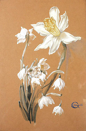 Bild zeigt weiße Narzissen, auf braunes Papier gemalt