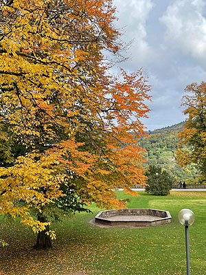 Buntes Herbstlaub im Heidelberger Schlossgarten