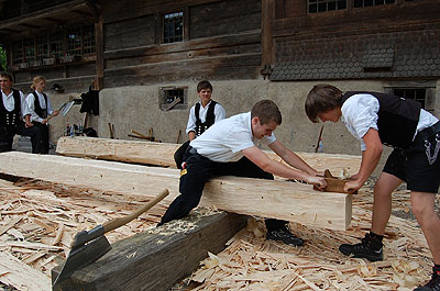 Zimmermannskunst